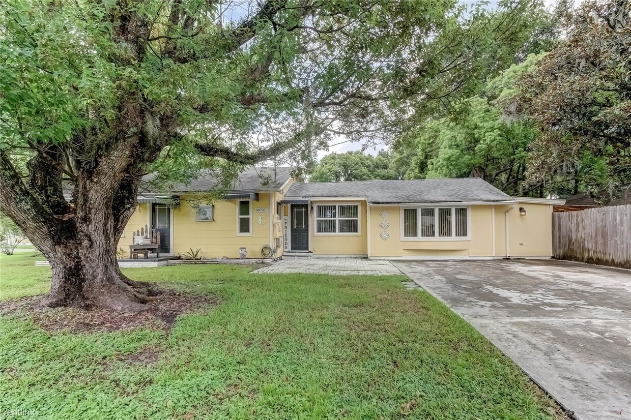 38703 9th Ave, Zephyrhills, FL 33542 House Rental in Zephyrhills, FL