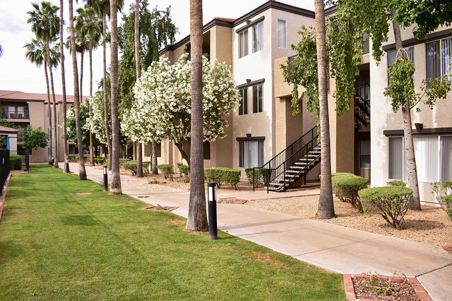 Tree lined sidewalks leading through community - Cortina