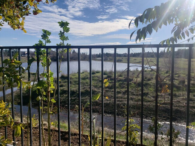 Vista trasera de Laguna Creek durante el invierno. - 8113 Laguna Brook Way