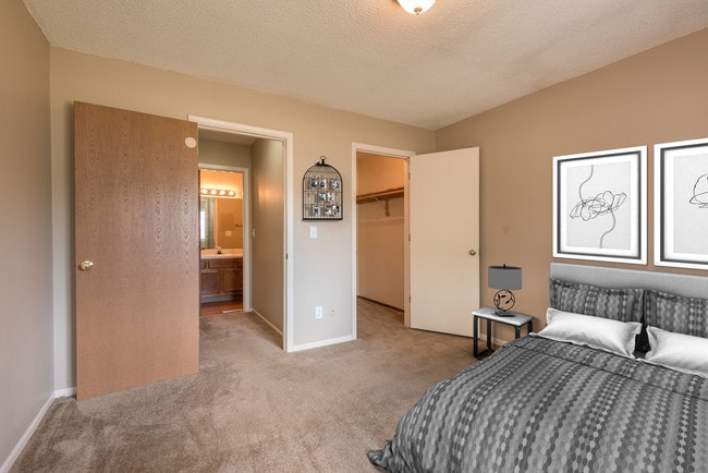 One Bedroom - Spring Hill Plaza Apartments