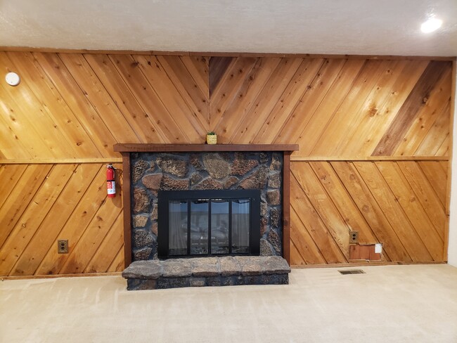 Gas Fireplace - 287 Filer Ave