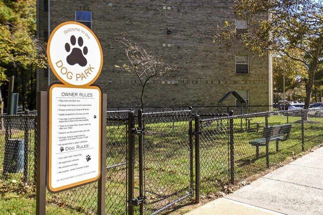 Parque para perros de Yorkshire - Yorkshire Apartments