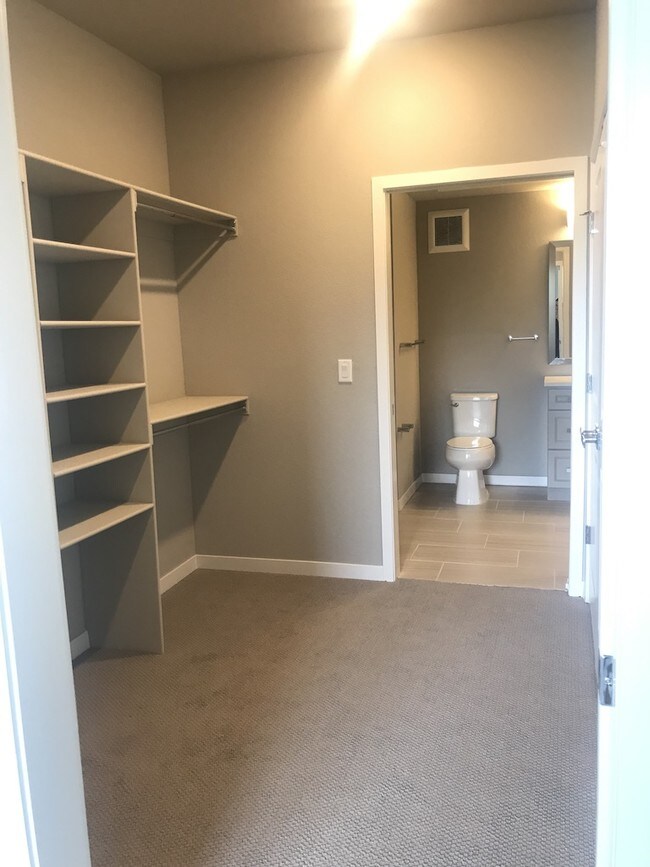 Master walk-in closet - 155 S Monaco Pky