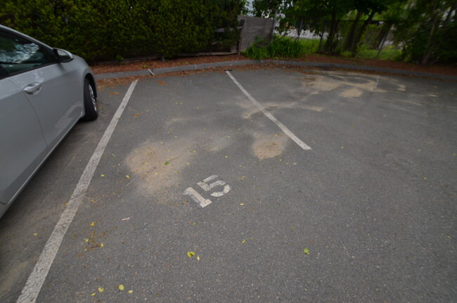 parking spot - 243 Main St