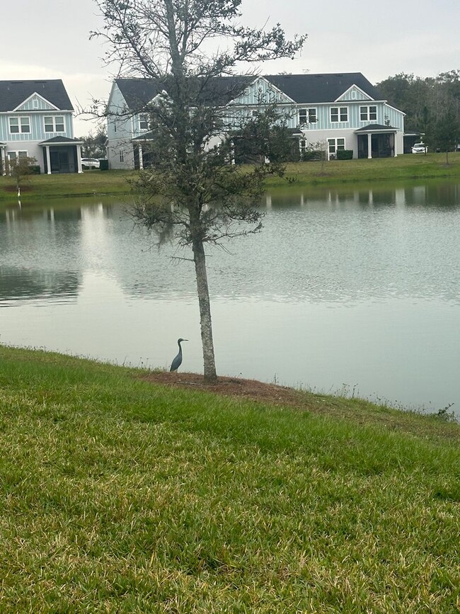 Foto del edificio - St. Johns, Beach Walk Community, Townhouse