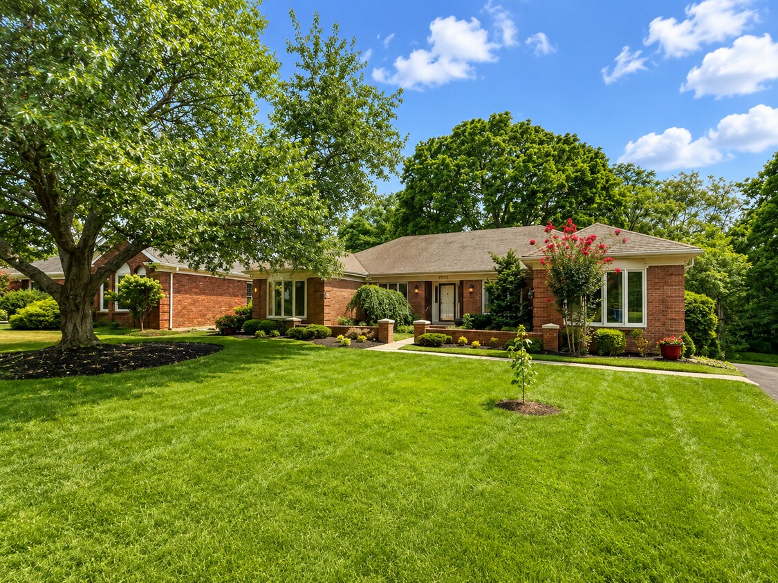 Spacious Walkout in Desirable Location! - Spacious Walkout in Desirable Location!