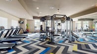 This fitness center is organized across two connected zones, each designed to support a full range of exercise routines. The main area is immediately distinguished by its striking chevron-patterned carpet in shades of gray, white, blue, and yellow, lending a dynamic and modern aesthetic to the space. Recessed lighting throughout keeps the environment bright and energized.

The primary workout zone houses a robust selection of Life Fitness strength equipment, including a large multi-station cable and weight machine system at its center. Flanking this are rows of cardio machines — treadmills, ellipticals, stationary bikes, and stair climbers — positioned near large windows that overlook outdoor greenery, allowing natural light to fill the space. Wall-mounted televisions are positioned near the cardio equipment for convenience. A dumbbell rack and free weights are also available near the entrance.

The secondary workout room features rich hardwood-style flooring and a quieter atmosphere suited for focused strength training. It includes additional cable machines and benches, along with a sauna room enclosed by warm wood-framed glass doors. Large windows with blinds line the walls, providing ample daylight while maintaining privacy. A glass entry door connects this room directly to an outdoor area.