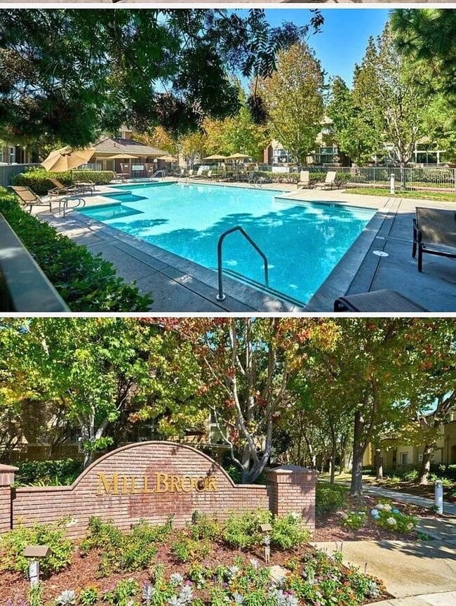 Community Pool - 542 Mill River Ln