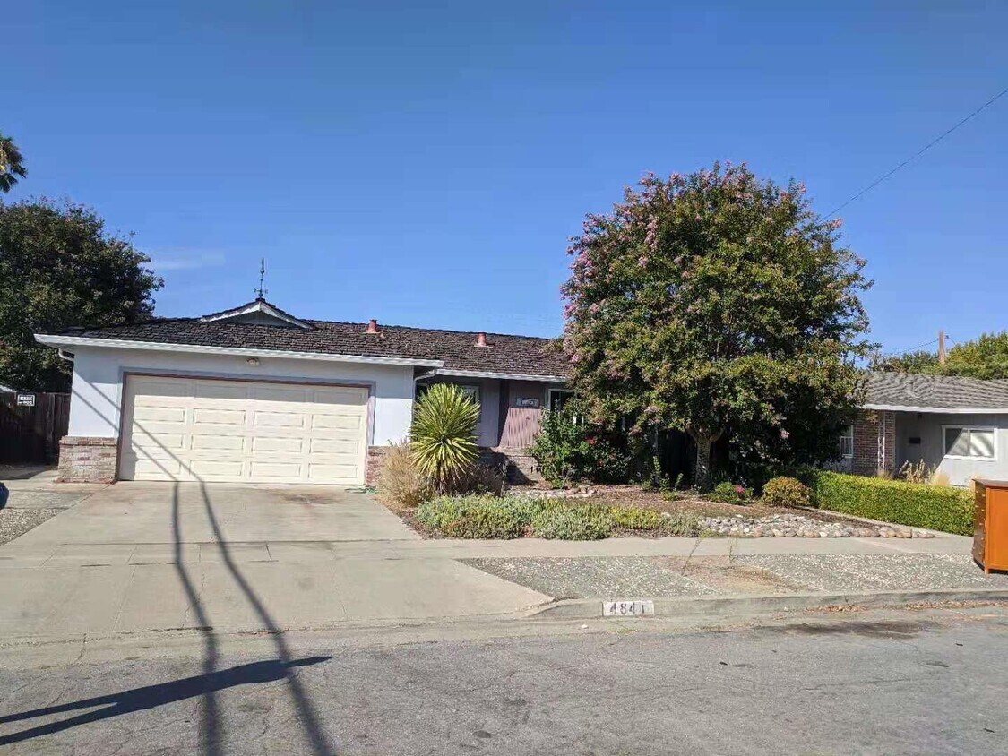 Primary Photo - 4841 Borina Dr