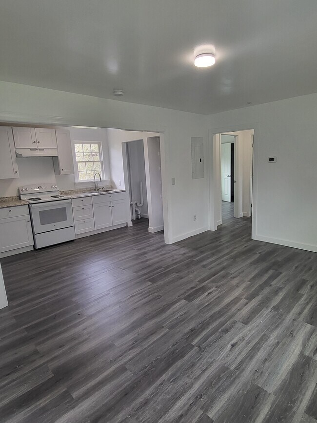Large Kitchen Lvng Rm - 108 Jones St