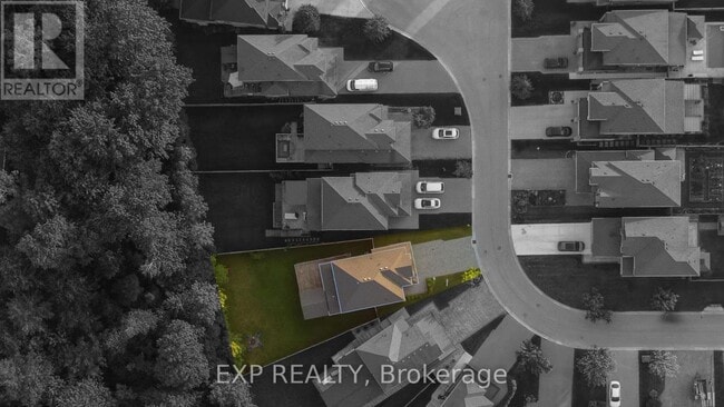 Building Photo - 2180 Yellowbirch Pl