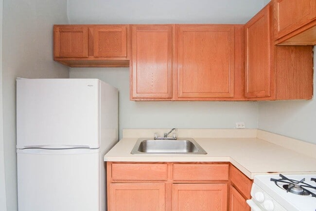 Building Photo - 1169 N Dearborn