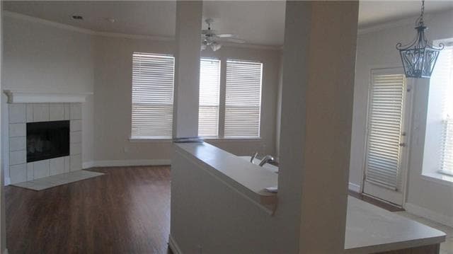 Building Photo - 3929 Iris Ct