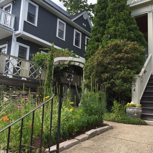 Primary Photo - An oasis in the city!