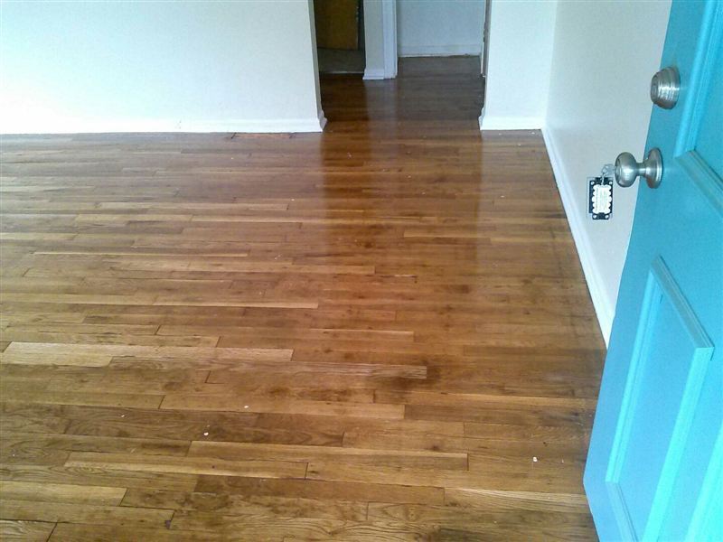 Primary Photo - 2 br, 2 bath House - 316 Sheffield Ave
