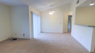 This single-floor space presents an open and airy living area defined by its vaulted ceiling, which adds a sense of generous vertical space and an expansive feel to the room. A ceiling fan with an integrated light fixture is centrally mounted, providing both air circulation and ambient lighting. The floor is covered with plush, neutral-toned wall-to-wall carpeting that extends throughout the visible areas, contributing to a warm and cohesive aesthetic. Large sliding glass doors fitted with vertical blinds line one wall, allowing abundant natural light to filter into the space while offering access to the exterior. The walls are finished in a clean, light neutral tone, complementing the bright and open atmosphere. A doorway visible on the far side of the room leads to an additional area, suggesting the layout continues beyond the main living space. Overall, the design is straightforward and functional, with an emphasis on openness and light. The combination of vaulted ceilings, soft carpeting, and natural light creates a comfortable and versatile environment well-suited for a variety of uses.