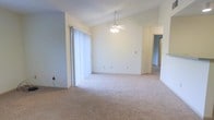 This single-floor space presents an open and airy living area defined by its vaulted ceiling, which adds a sense of generous vertical space and an expansive feel to the room. A ceiling fan with an integrated light fixture is centrally mounted, providing both air circulation and ambient lighting. The floor is covered with plush, neutral-toned wall-to-wall carpeting that extends throughout the visible areas, contributing to a warm and cohesive aesthetic. Large sliding glass doors fitted with vertical blinds line one wall, allowing abundant natural light to filter into the space while offering access to the exterior. The walls are finished in a clean, light neutral tone, complementing the bright and open atmosphere. A doorway visible on the far side of the room leads to an additional area, suggesting the layout continues beyond the main living space. Overall, the design is straightforward and functional, with an emphasis on openness and light. The combination of vaulted ceilings, soft carpeting, and natural light creates a comfortable and versatile environment well-suited for a variety of uses.