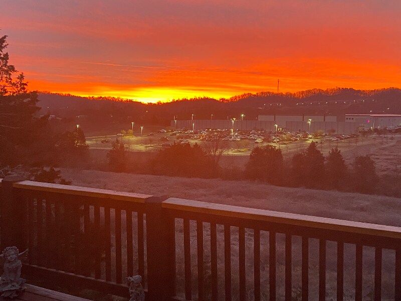 Foto principal - 10390 Ivy Hollow Dr