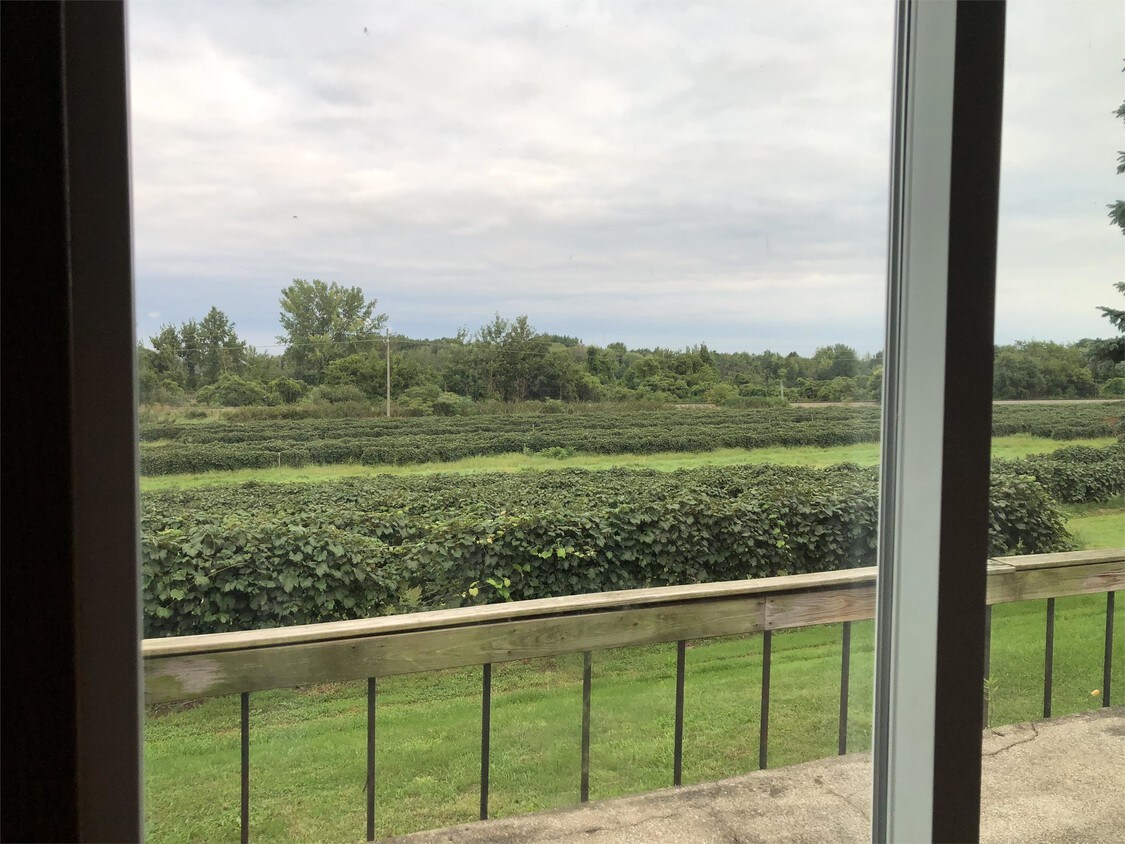 8946 Rd, North East, PA 16428 House Rental in North East, PA