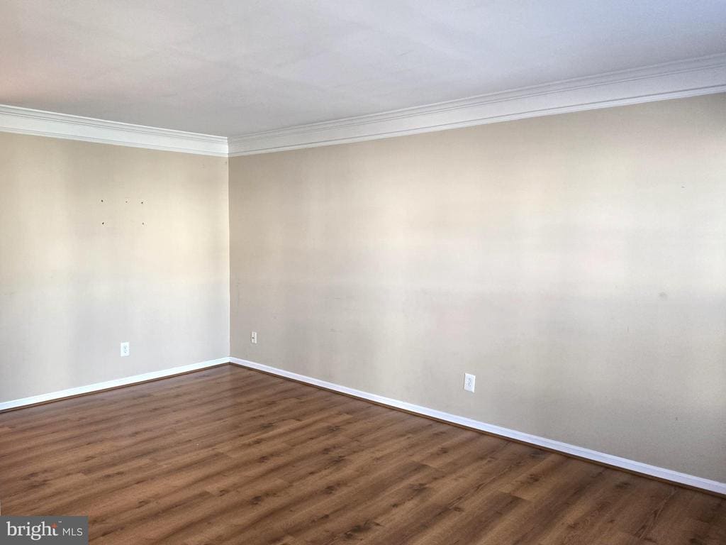 Primary Photo - 157 Darling St