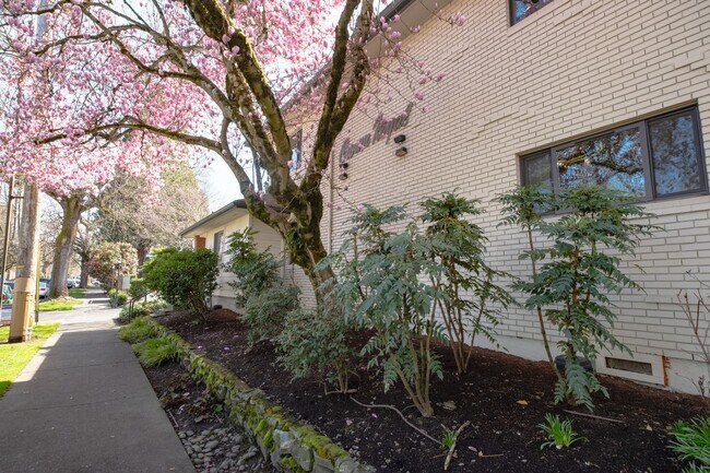Foto del edificio - Three Bedroom Oasis in the Heart of Irvington