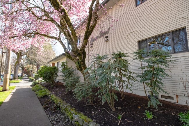 Building Photo - Three Bedroom Oasis in the Heart of Irvington