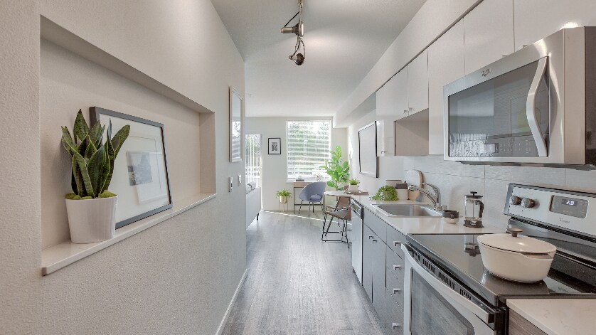 Angeline Apartments Seattle Wa Apartments Com