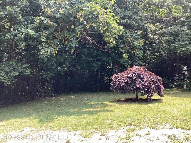 Building Photo - 3 br, 2 bath House - 159 Cedar Creek Rd
