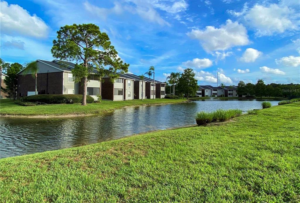 1400 Gandy Blvd N Unit 607, Saint Petersburg, FL 33702 Condo for Rent