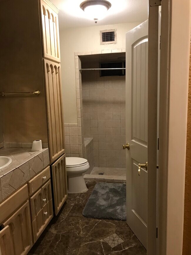 Master bedroom bathroom - 9306 Fernglen Dr