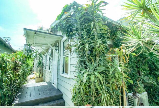 Building Photo - 2349 Ocean Ave Building Photo - 2349 Ocean Ave