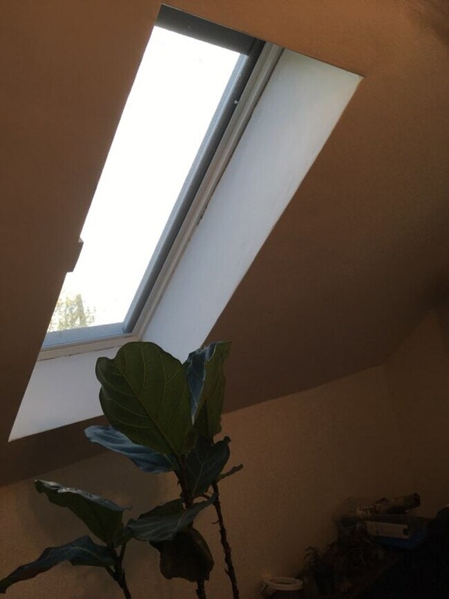 48 Dighton St, Boston, MA 02135 House Rental in Boston, MA