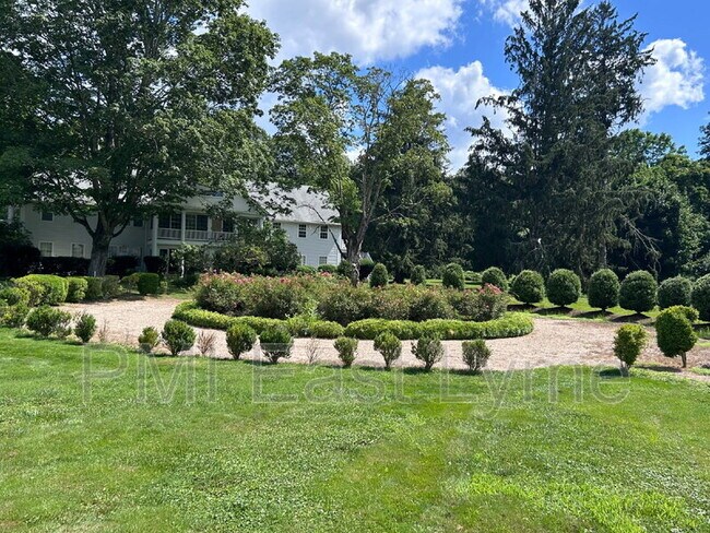 Foto del edificio - 7 Lyme St