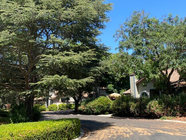 Foto del edificio - 5341 Traci Dr