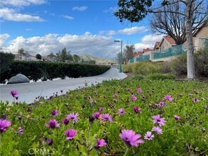 30665 Spring Deep Terrace
