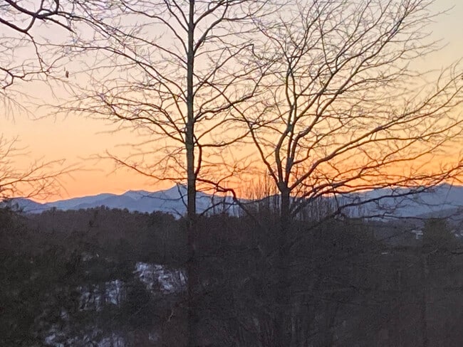 Building Photo - 36 Indian Camp Rd