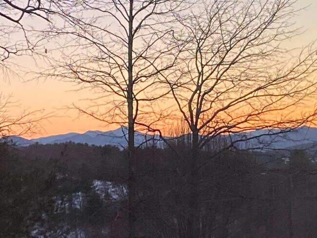 Foto del edificio - 36 Indian Camp Rd