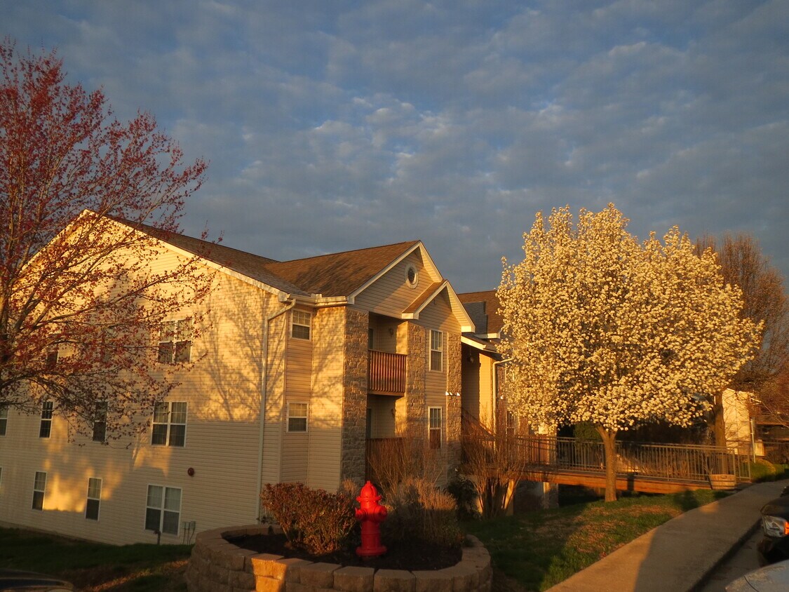 Entrance - 103 Vixen Cir.