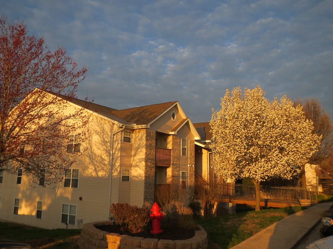 Entrance - 103 Vixen Cir.