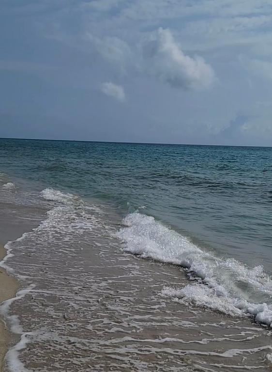 Foto del edificio - 19201 Collins Ave