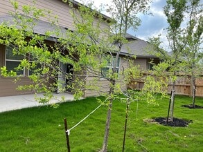 Building Photo - 13915 Borolanite Dr