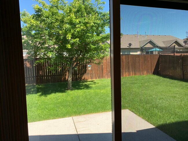 Fenced backyard view from Living room slider - 774 Forestglen Dr