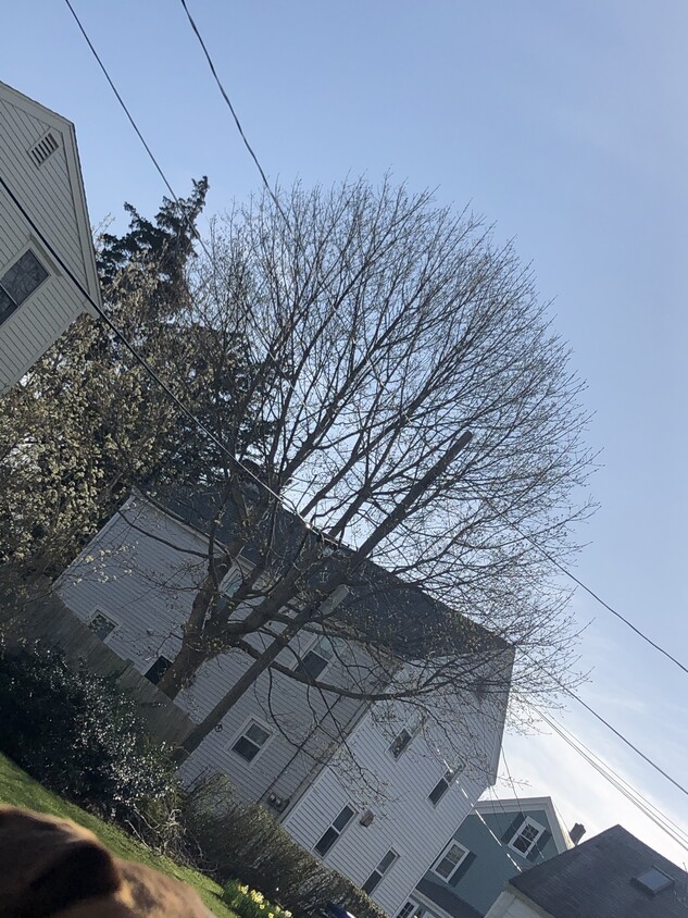 564 E 191st St Unit Fordham University off ca, Bronx, NY 10458