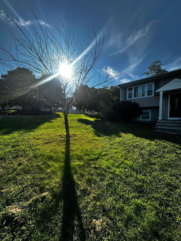 Building Photo - 1 Pearsall Dr