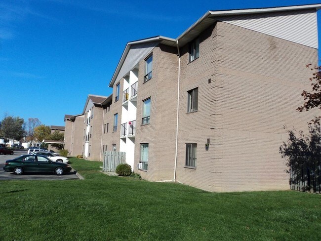 Building Photo - 37 Rykert St