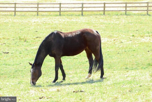 Foto del edificio - 739 S Main St