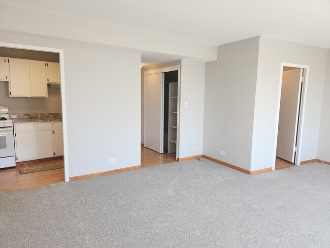Foto del edificio - 1150 N Lake Shore Dr