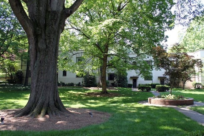 courtyard - view from apartment - 1121 Myrtle Ave Apartment