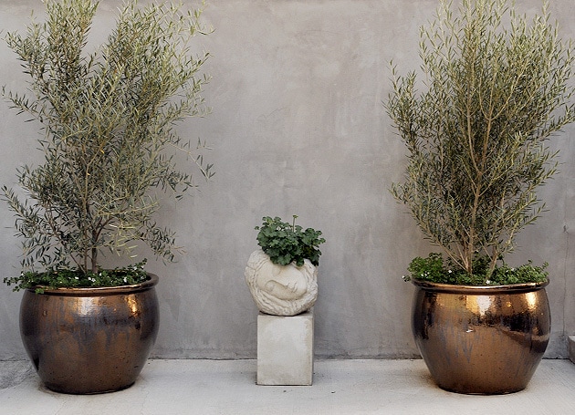 Foto del edificio - 1418 N Poinsettia Pl