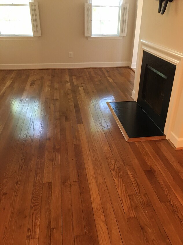 Living room with fireplace - 1203 N Pitt St